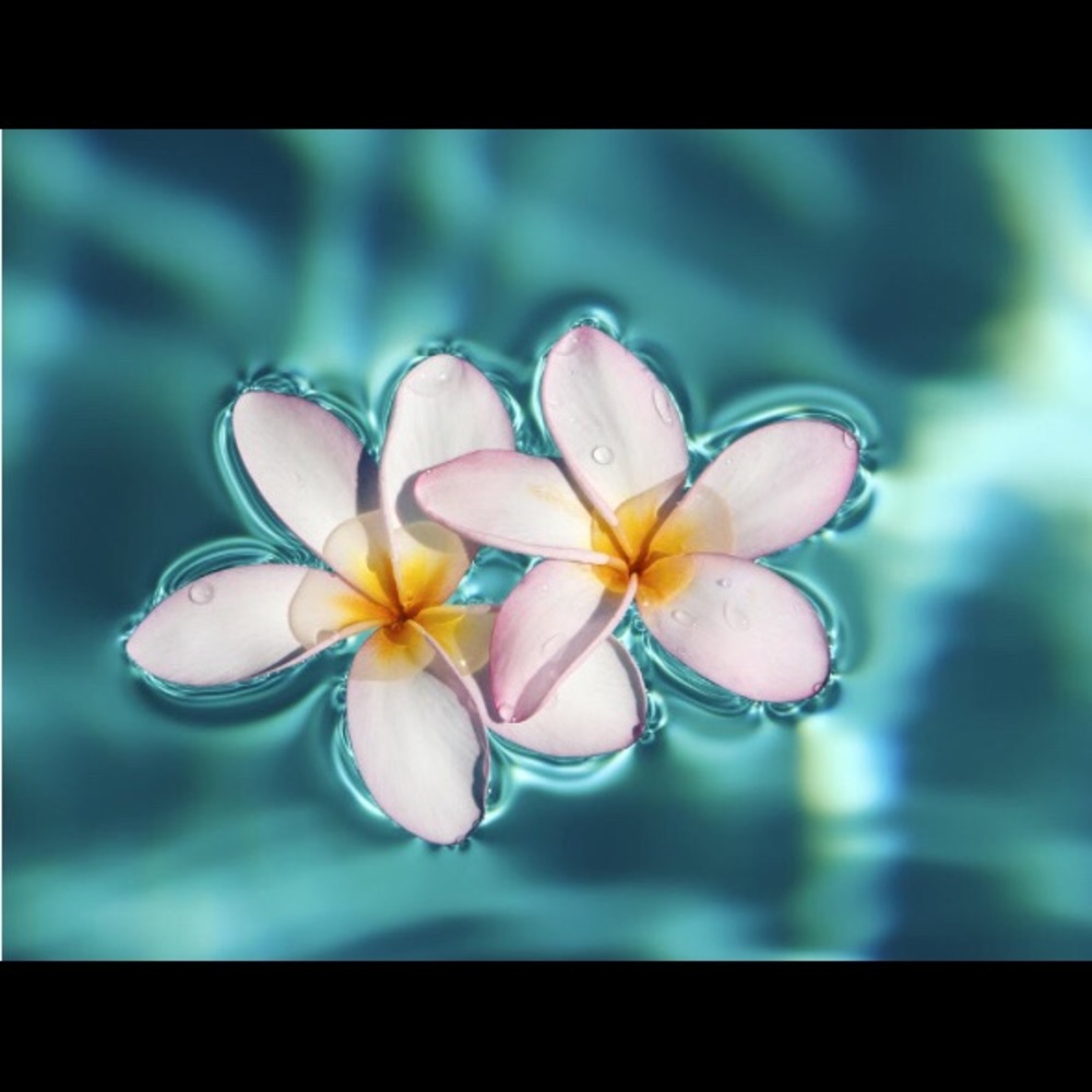 Meet your Posher, Skylar